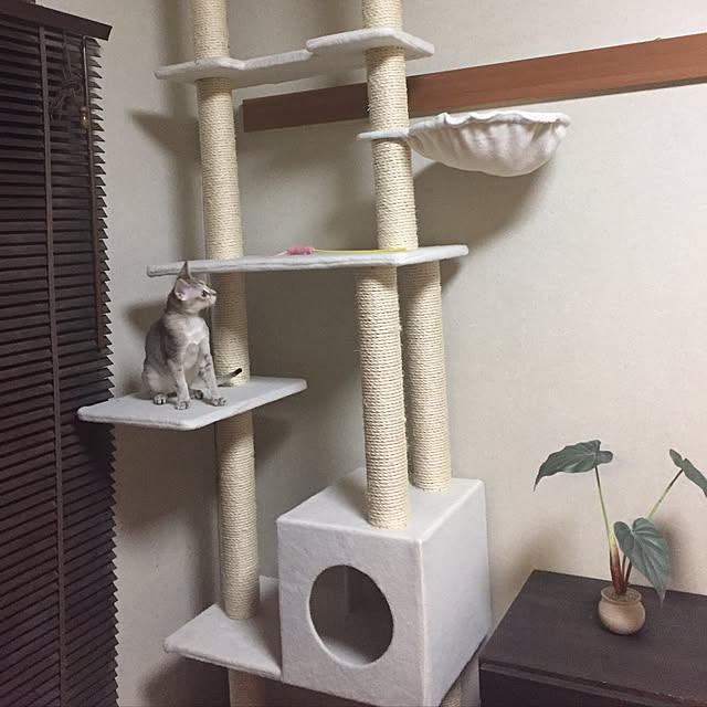 emiemiさんの実例写真