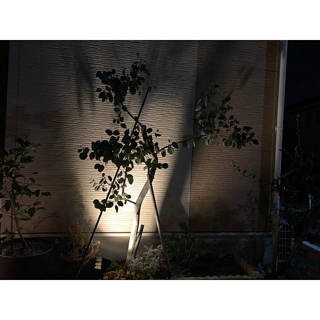 kaさんの部屋