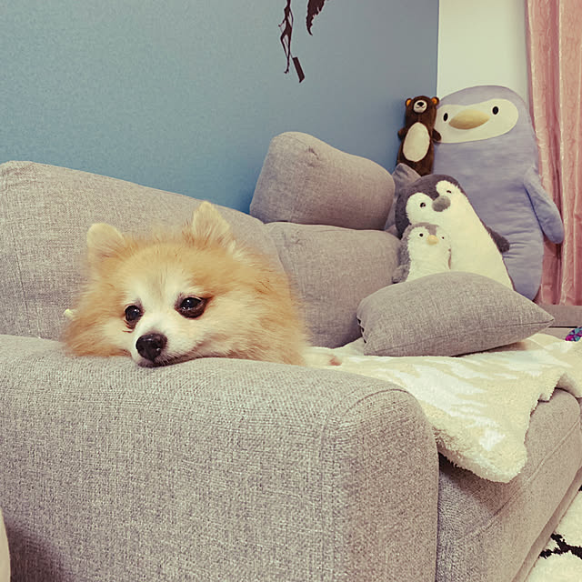 mimiさんの実例写真
