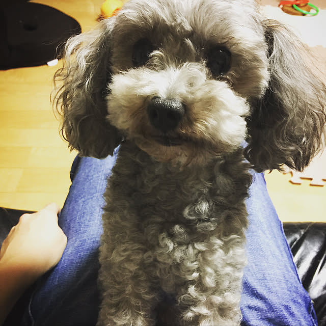 meg214さんの実例写真