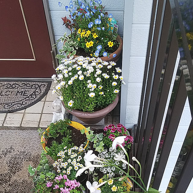 katuさんの実例写真