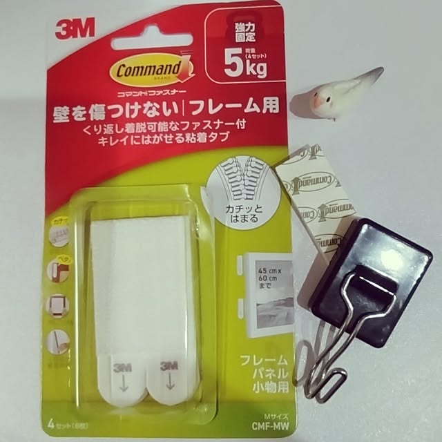 toratanさんの実例写真