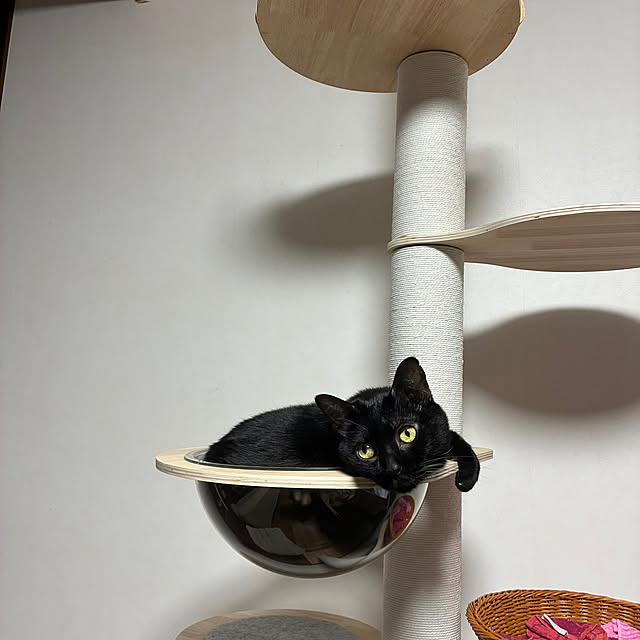 nannanさんの実例写真