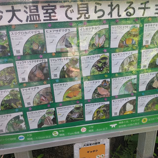 tomo3さんの実例写真