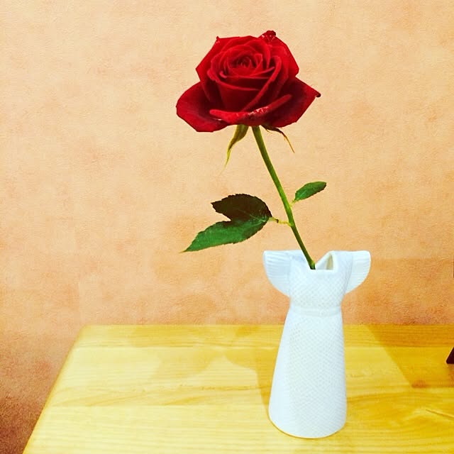paletoneさんの実例写真
