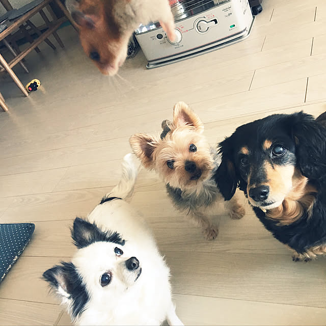 ohanaさんの実例写真