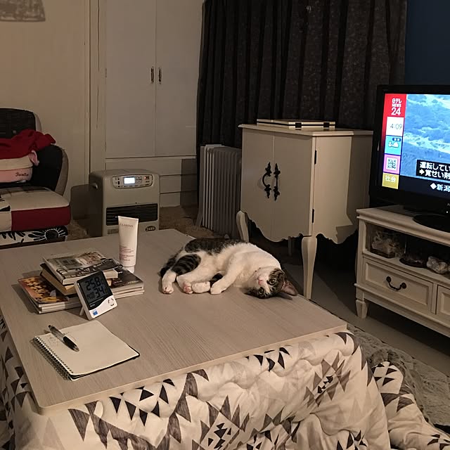 Shihoさんの実例写真