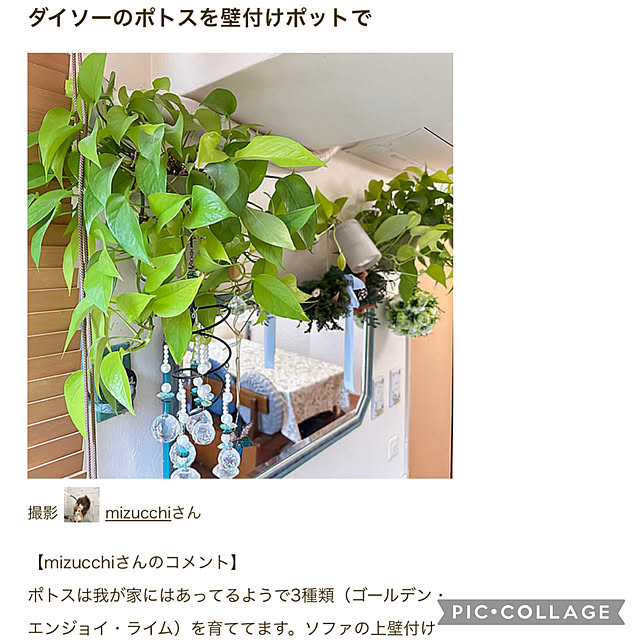 mizucchiさんの実例写真