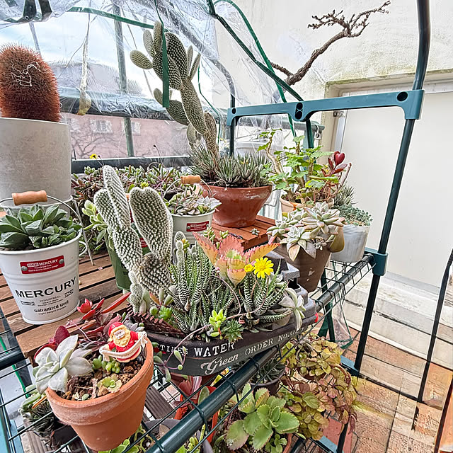 Aqettyさんの部屋