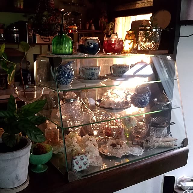 koyutan-mjmさんの部屋