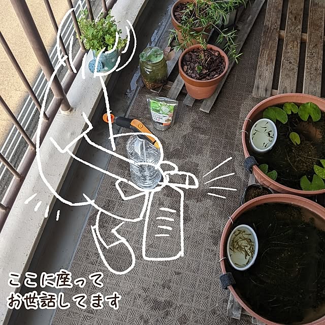 mi-saさんの部屋