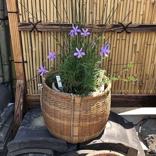mamioさんの実例写真
