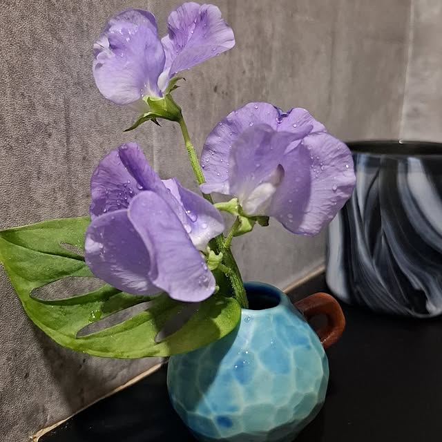 noaさんの部屋