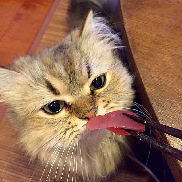 butachanさんの実例写真