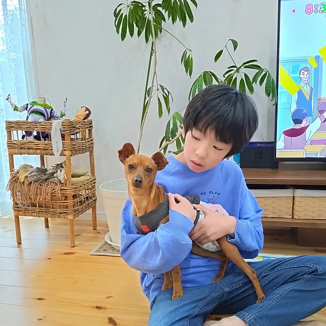 ri-eさんの実例写真