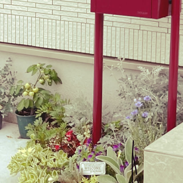 marinchiro.51さんの実例写真