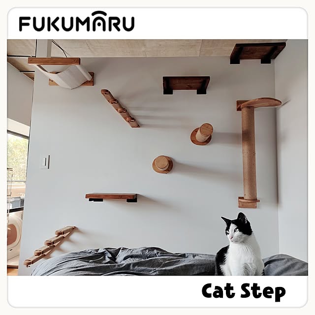 tammyさんの実例写真