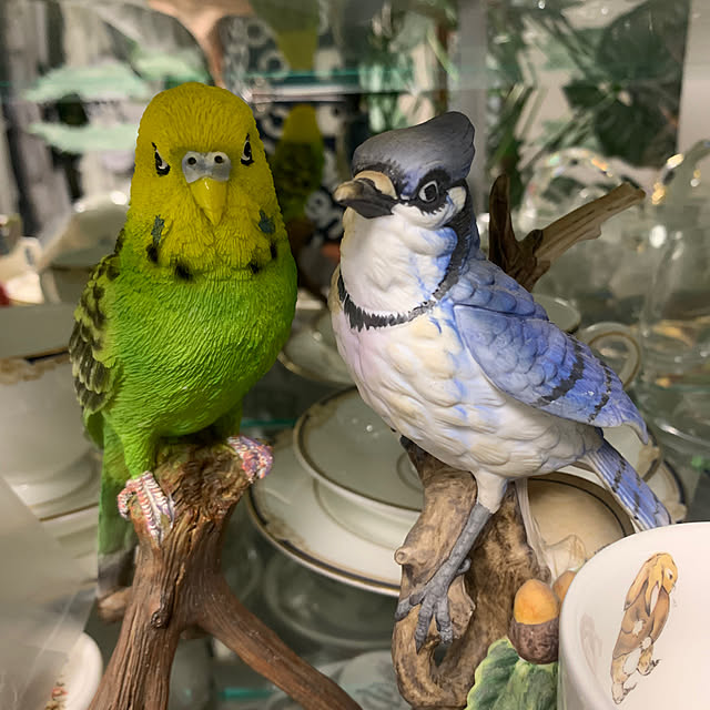Aqettyさんの部屋