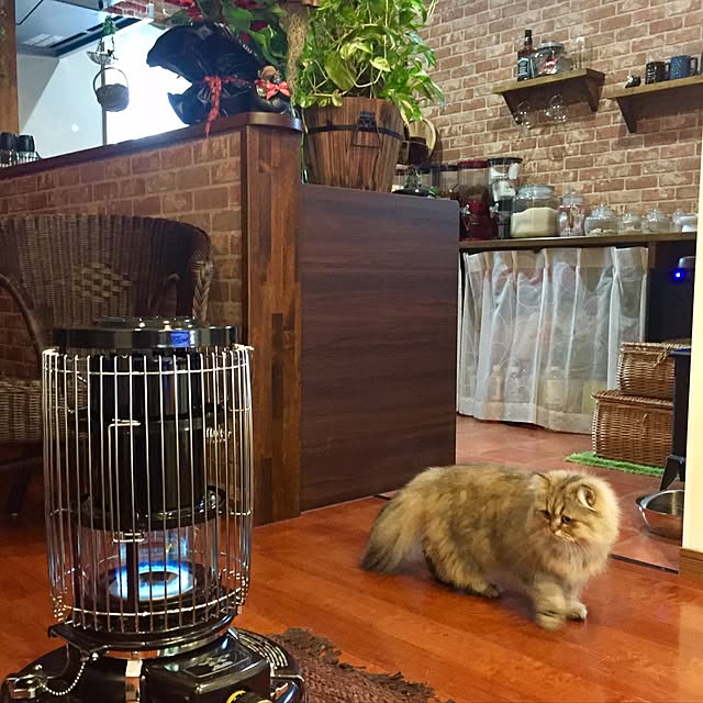butachanさんの実例写真