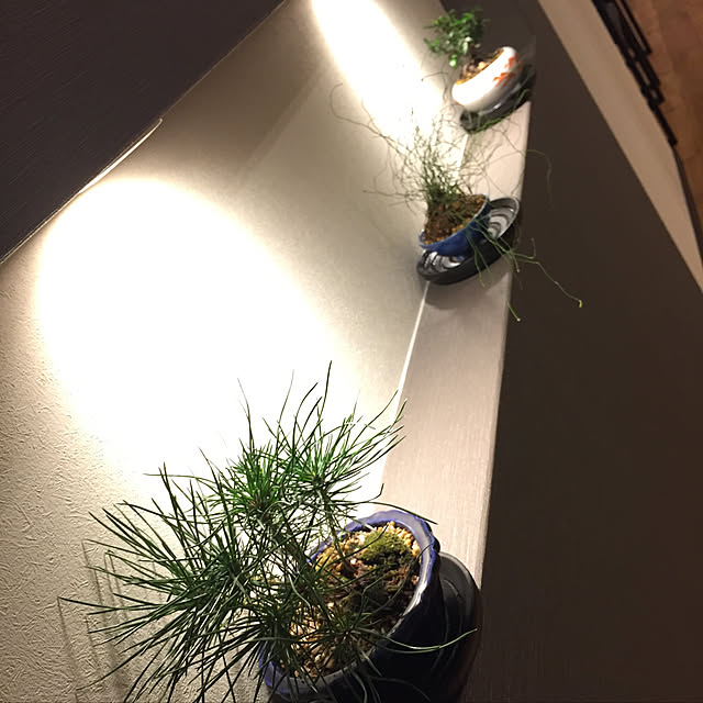 koroさんの実例写真