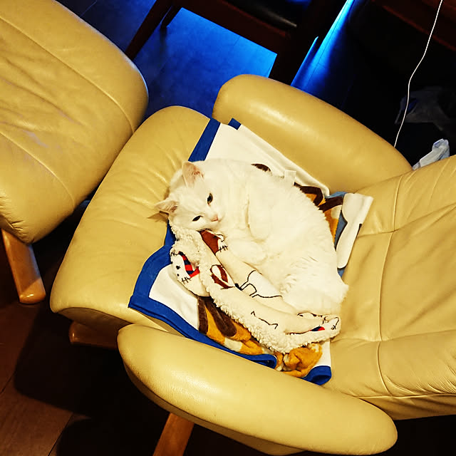hidero_mancaveさんの実例写真