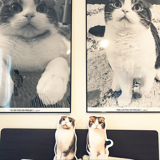 tansukeさんの実例写真