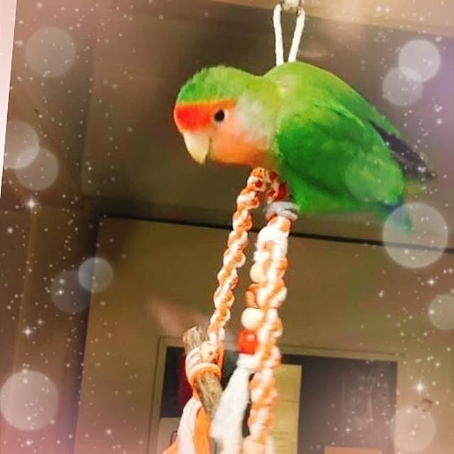 naoさんの部屋