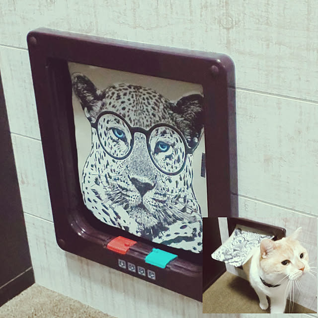 kobakissaさんの実例写真