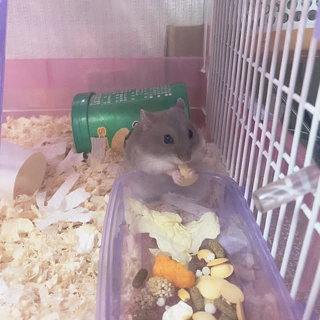 milkさんの実例写真