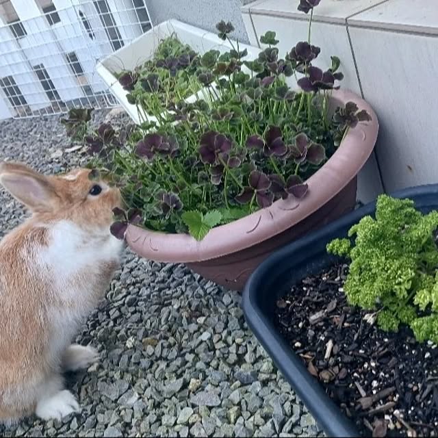 aiさんの部屋