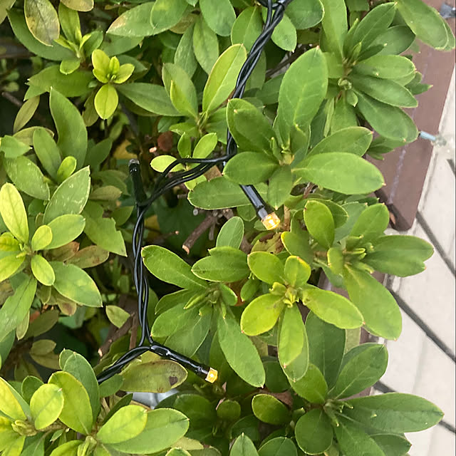 kayokos0801さんの部屋