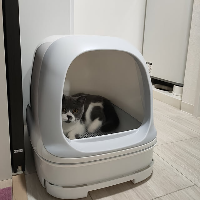 KEIKOさんの実例写真