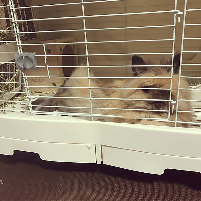 mさんの実例写真