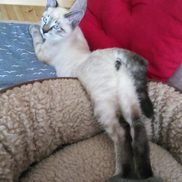 jennyさんの実例写真