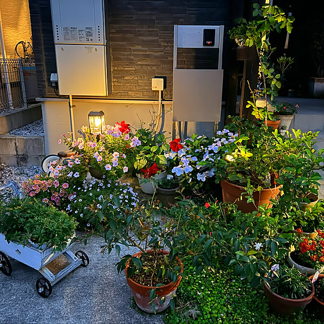 coraruさんの部屋