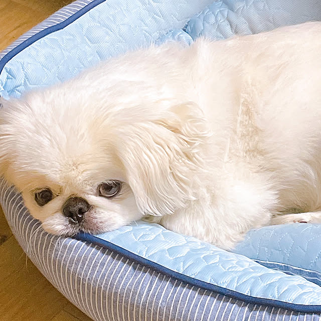 LiLiy.coCoさんの実例写真