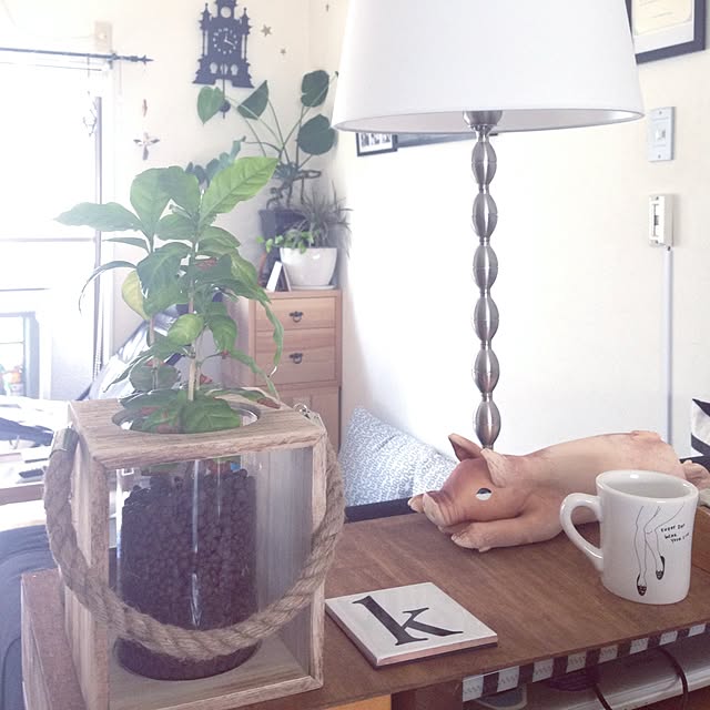 kotahiguさんの実例写真