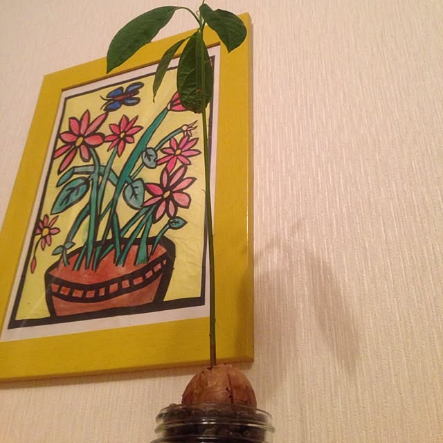 49yugoYuuさんの実例写真