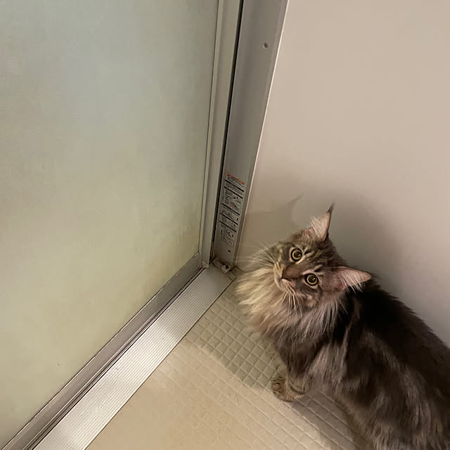 mayumiさんの部屋