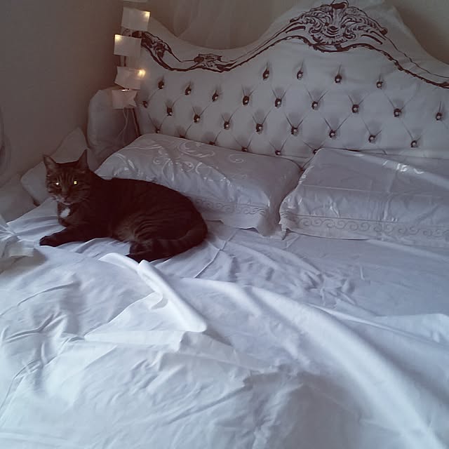 NABEさんの実例写真