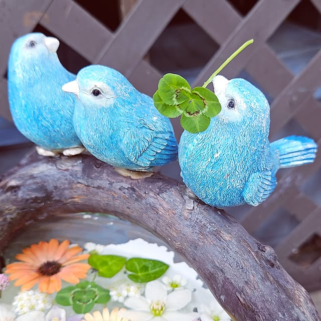 mocomocoさんの部屋