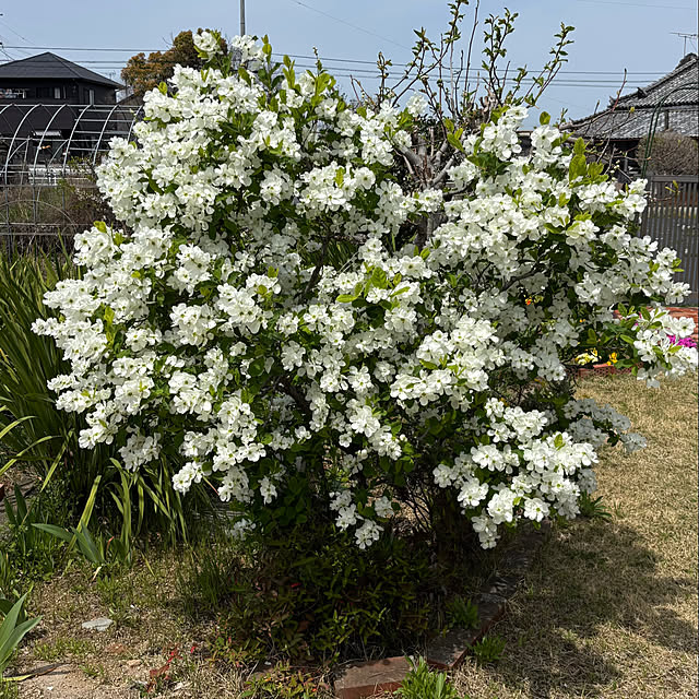 noeさんの部屋