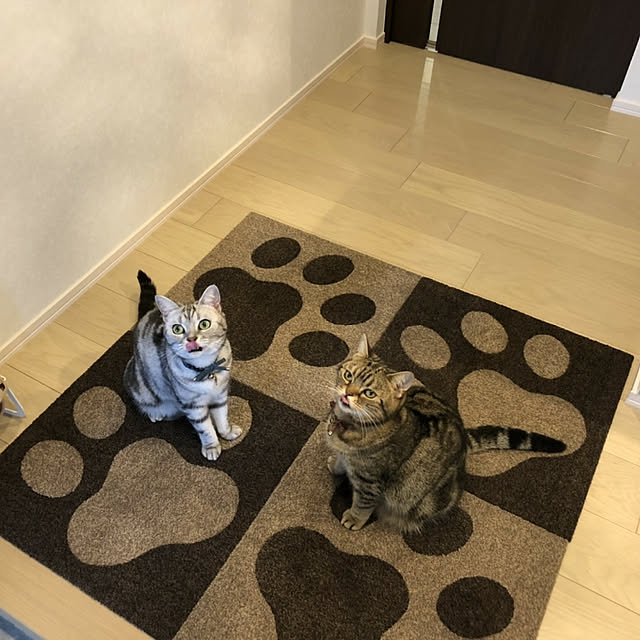 NANACOCOさんの実例写真