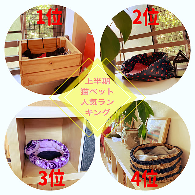 suemonta14さんの実例写真