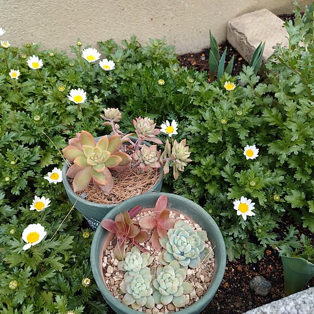 coconathuさんの部屋