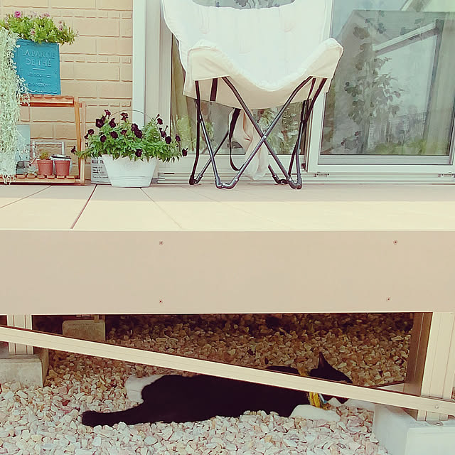 moolさんの部屋