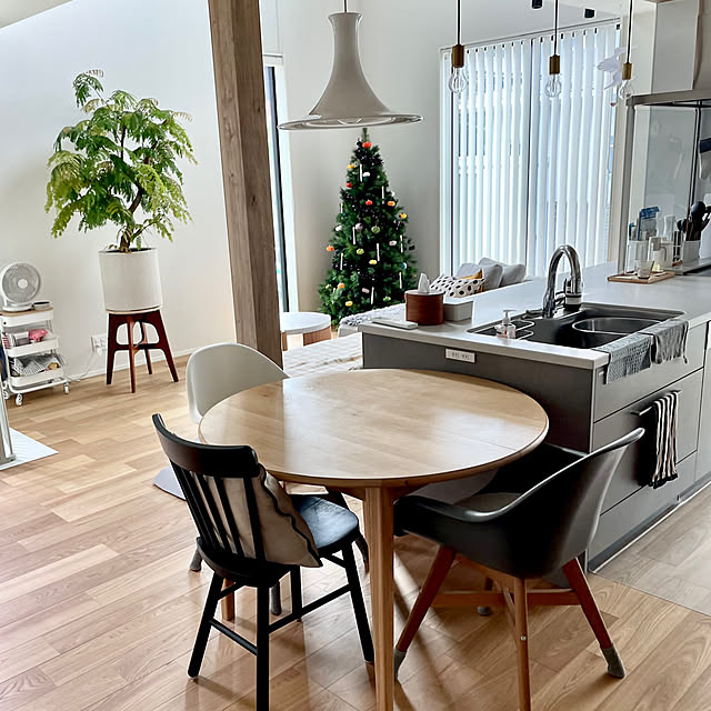 部屋全体/観葉植物インテリア/観葉植物/観葉植物のある暮らし/ホワイト×ウッド...などのインテリア実例 - 2025-12-14 10:03:52