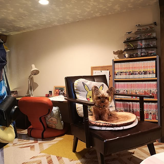 akiさんの実例写真