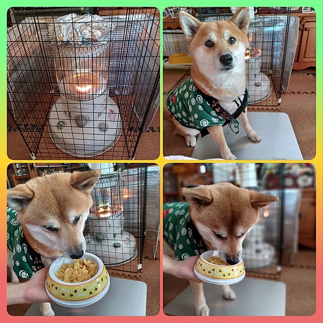 nanaさんの部屋