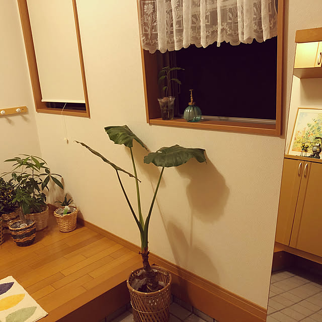 実例写真